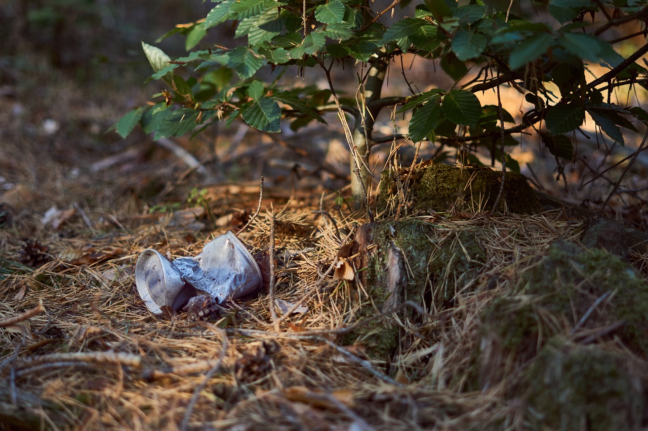 Environmental Philosophy - A Modern Perspective